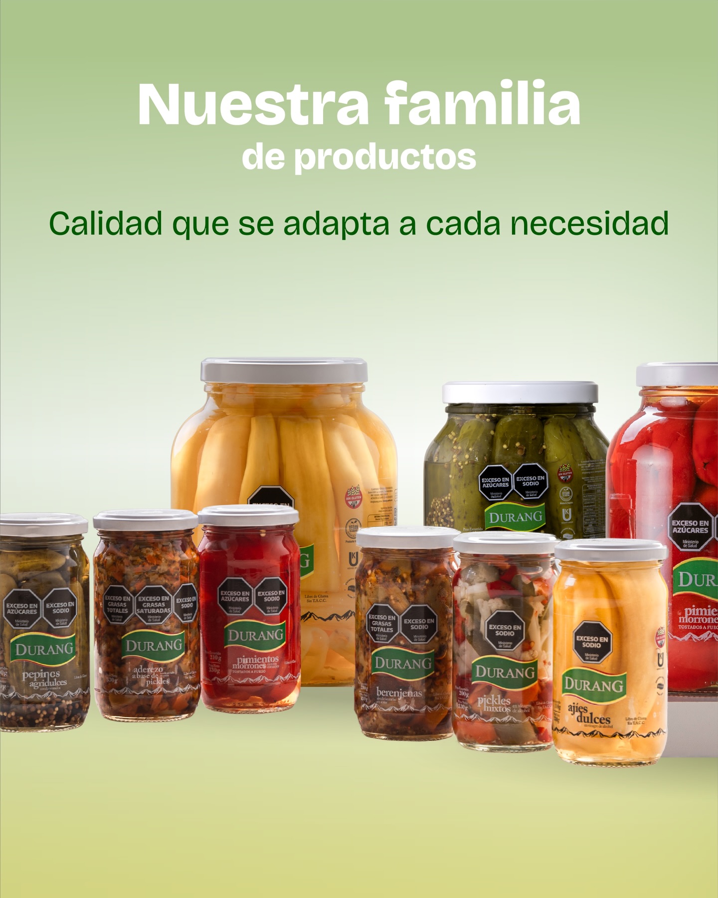 Pickles Conservas -Frasco Vidrio 330Grs.- Durang