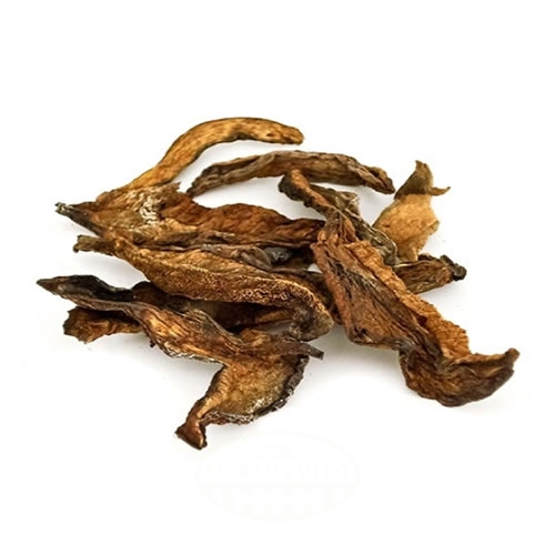 Hongo Secos de Pino