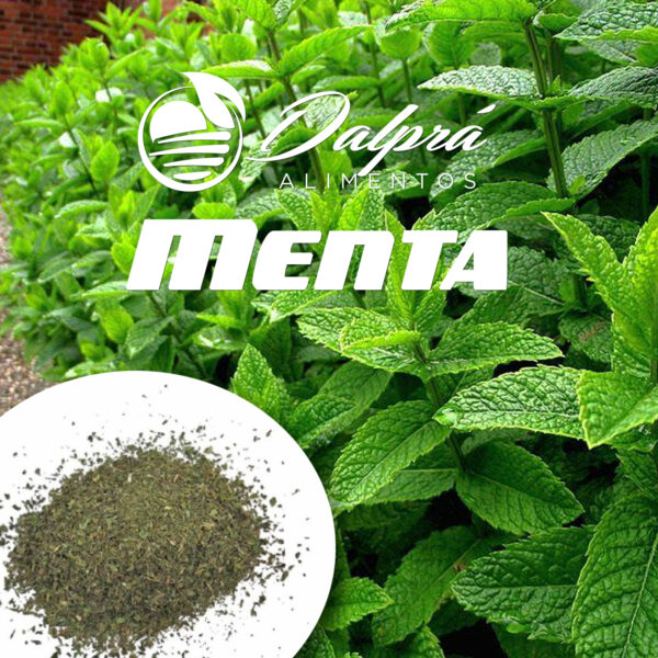 Menta Piperita