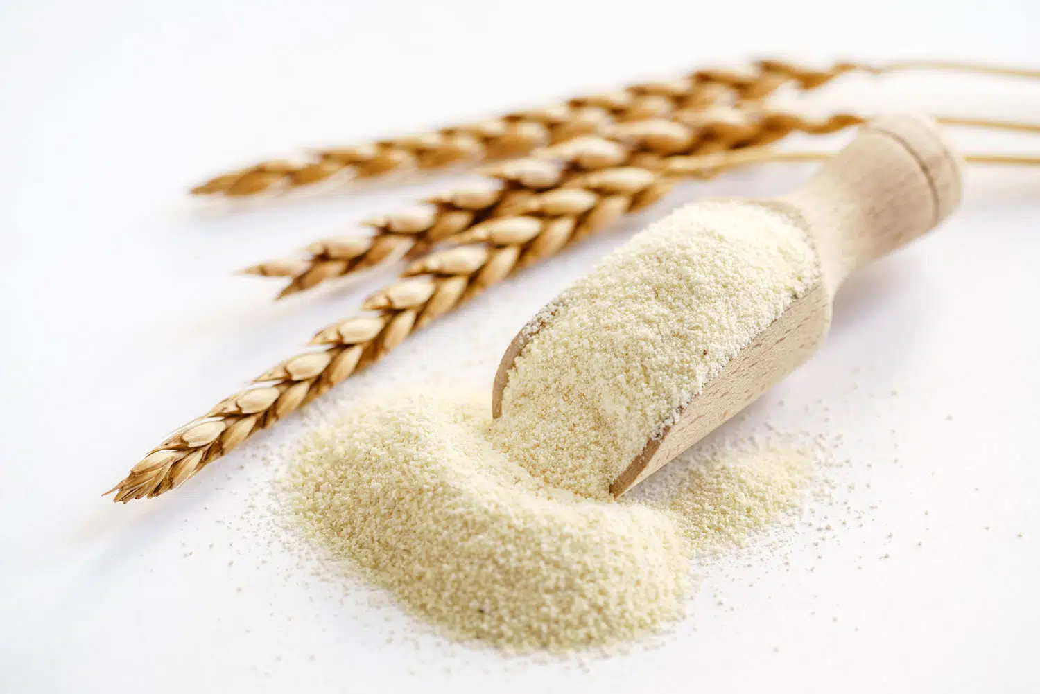 Gluten de Trigo