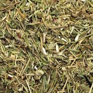 Cola de Caballo