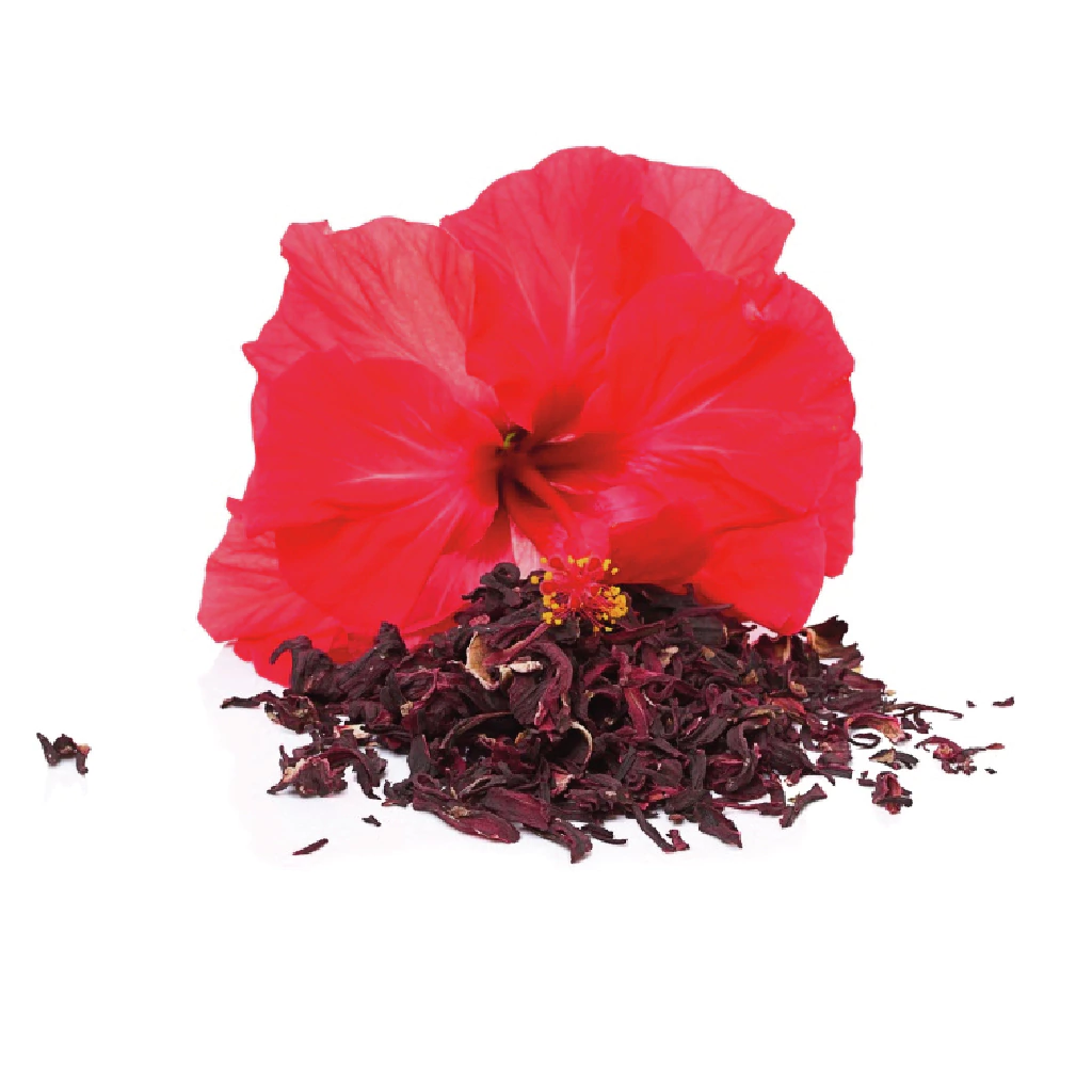 Hibiscus en Flor