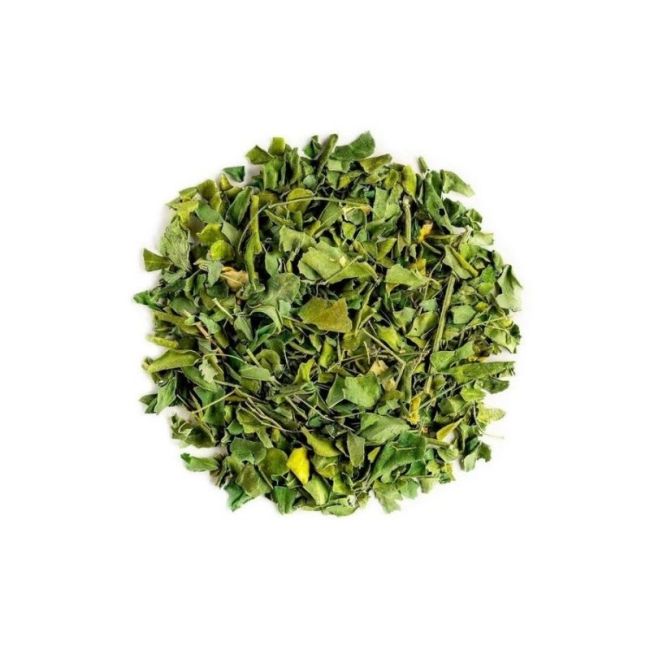Moringa Oleifera
